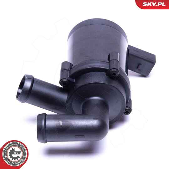 22SKV032 - Auxiliary Water Pump (cooling water circuit) 