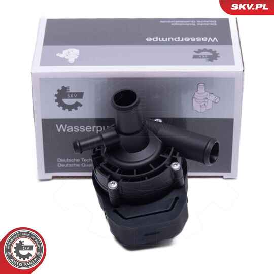 22SKV045 - Auxiliary Water Pump (cooling water circuit) 