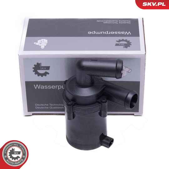 22SKV033 - Auxiliary Water Pump (cooling water circuit) 