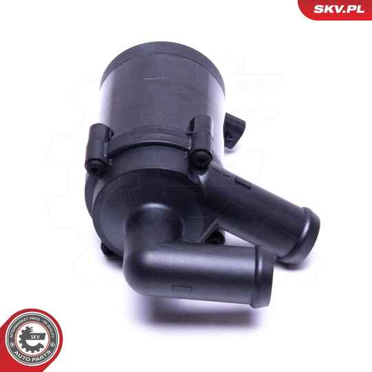 22SKV033 - Auxiliary Water Pump (cooling water circuit) 