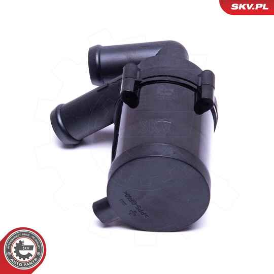 22SKV033 - Auxiliary Water Pump (cooling water circuit) 