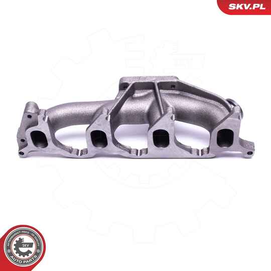 49SKV073 - Manifold, exhaust system 