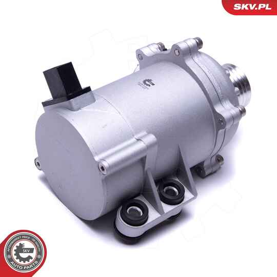 22SKV055 - Water Pump, engine cooling 