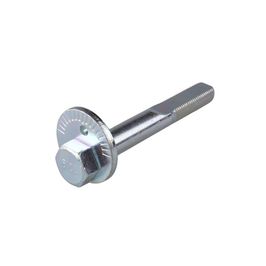 TED38973 - Camber Correction Screw 