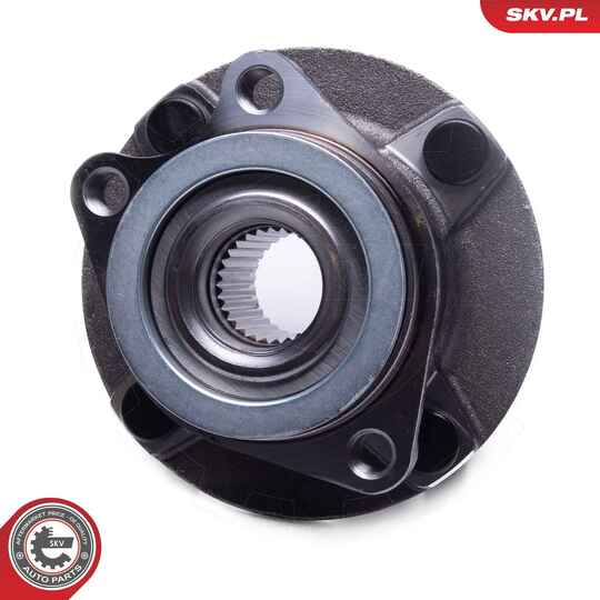 29SKV631 - Wheel Bearing Kit 