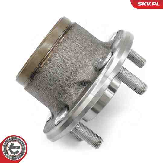 29SKV314 - Wheel Bearing Kit 