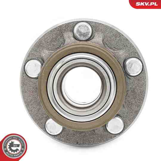 29SKV314 - Wheel Bearing Kit 