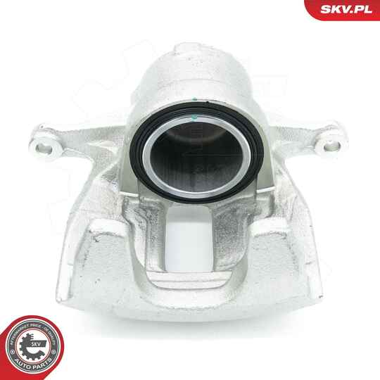 56SKV531 - Brake Caliper 