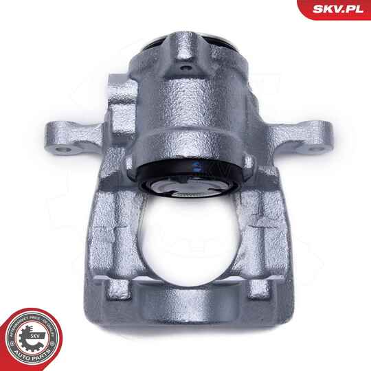 56SKV433 - Brake Caliper 