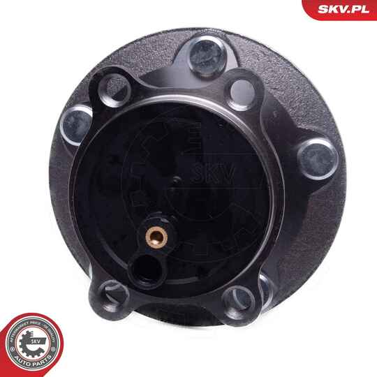 29SKV615 - Wheel Bearing Kit 