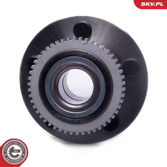 29SKV593 - Wheel Bearing Kit 