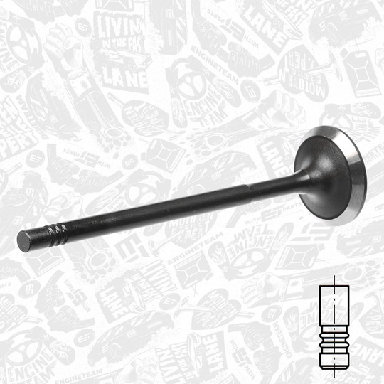 VI0182 - Intake Valve 