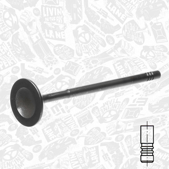 VI0182 - Intake Valve 