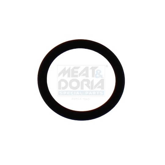 98807 - Rubber Ring 