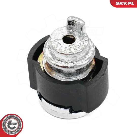 65SKV545 - Lock Cylinder 