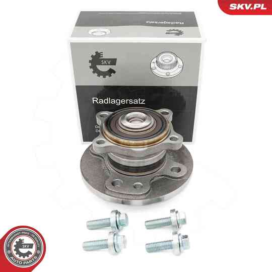 29SKV625 - Wheel Bearing Kit 