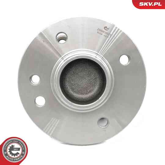 29SKV625 - Wheel Bearing Kit 