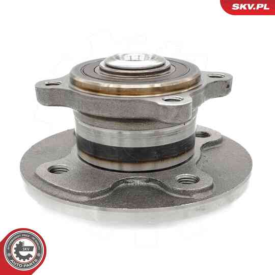 29SKV625 - Wheel Bearing Kit 