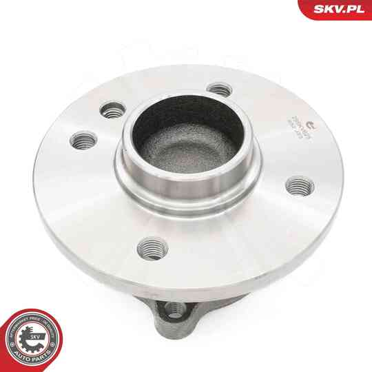 29SKV625 - Wheel Bearing Kit 