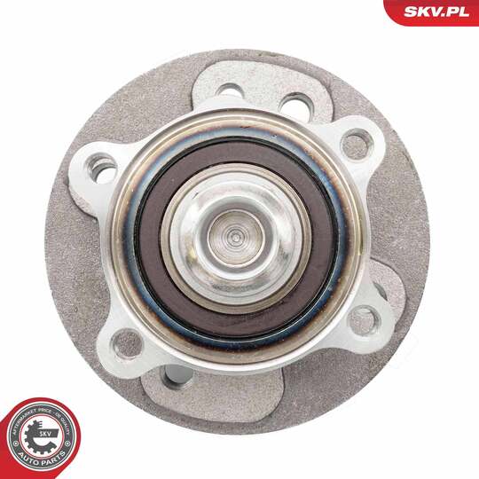 29SKV625 - Wheel Bearing Kit 