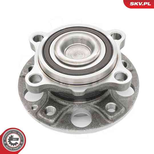 29SKV641 - Wheel Bearing Kit 