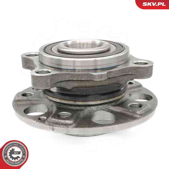 29SKV641 - Wheel Bearing Kit 