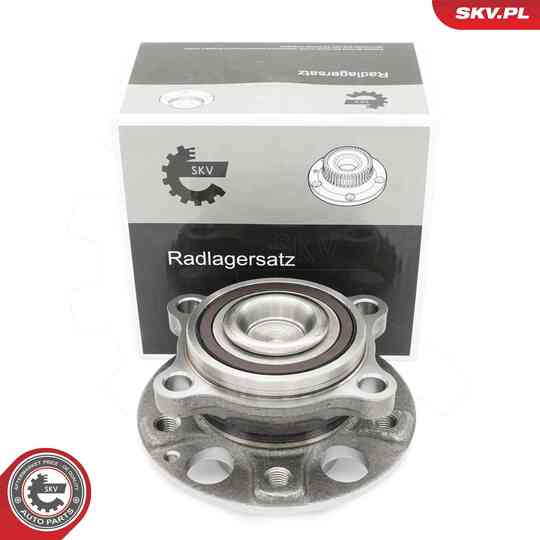 29SKV641 - Wheel Bearing Kit 