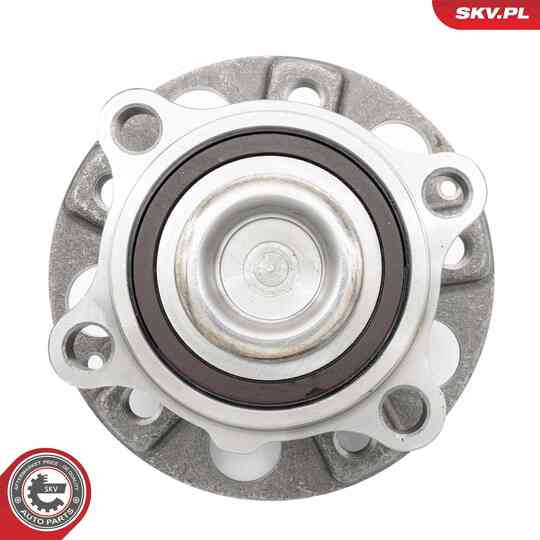 29SKV641 - Wheel Bearing Kit 