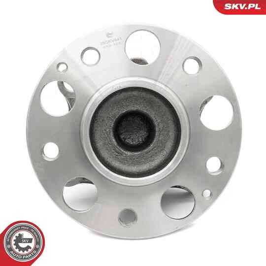 29SKV641 - Wheel Bearing Kit 