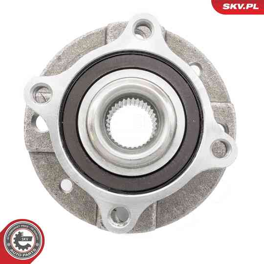 29SKV636 - Wheel Bearing Kit 