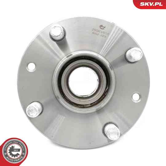 29SKV618 - Wheel Bearing Kit 