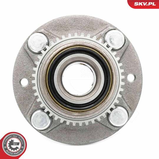 29SKV618 - Wheel Bearing Kit 