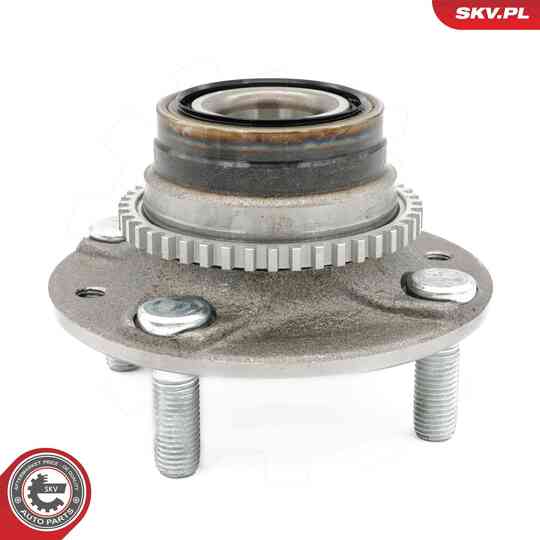 29SKV618 - Wheel Bearing Kit 