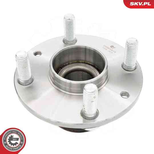 29SKV619 - Wheel Bearing Kit 