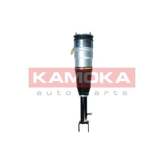 2070005 - Air Suspension Strut 