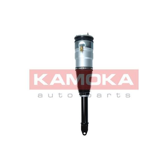 2070005 - Air Suspension Strut 