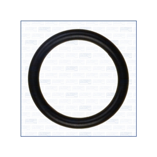 16063100 - Seal, oil filler cap 