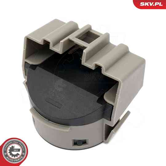 65SKV032 - Ignition-/Starter Switch 