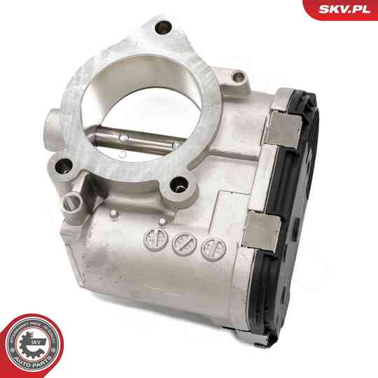 12SKV133 - Throttle body 