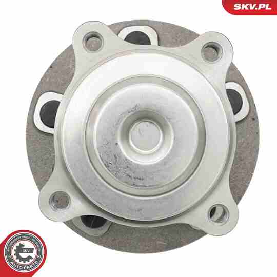 29SKV634 - Wheel Bearing Kit 