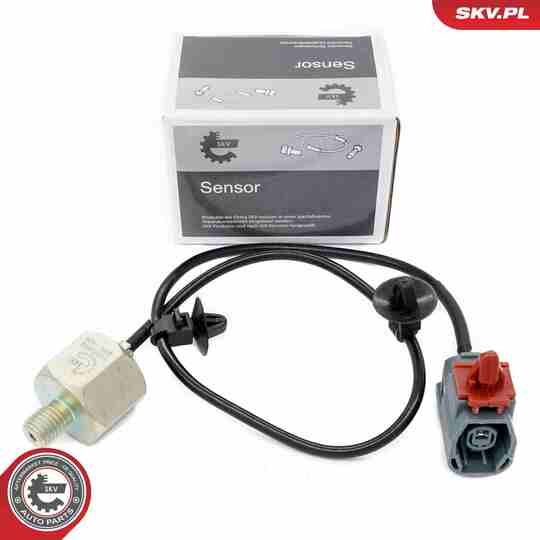 17SKV849 - Knock Sensor 