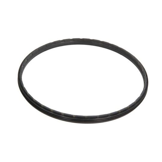 B06-2101 - Shaft Seal, wheel hub 