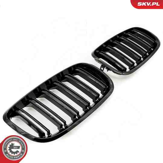 66SKV287 - Radiator Grille 