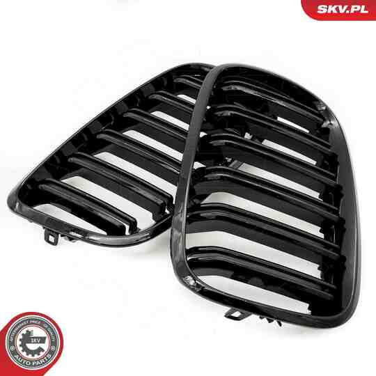 66SKV287 - Radiator Grille 