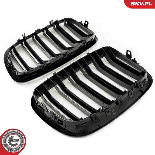 66SKV287 - Radiator Grille 