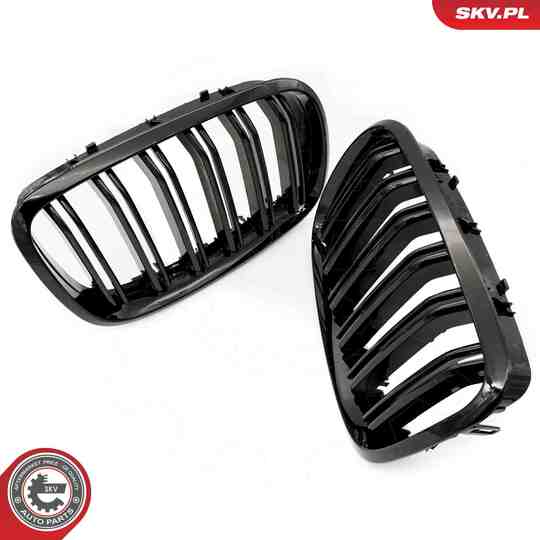 66SKV287 - Radiator Grille 