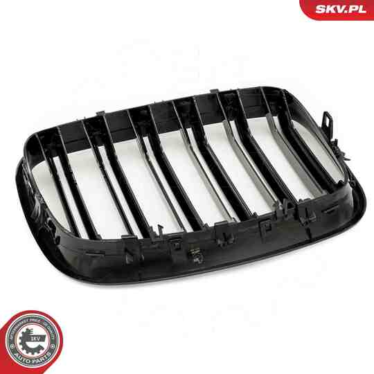 66SKV287 - Radiator Grille 