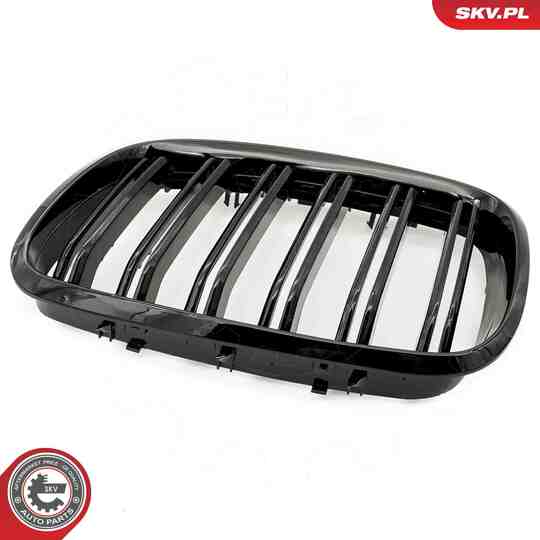 66SKV287 - Radiator Grille 