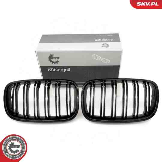 66SKV287 - Radiator Grille 