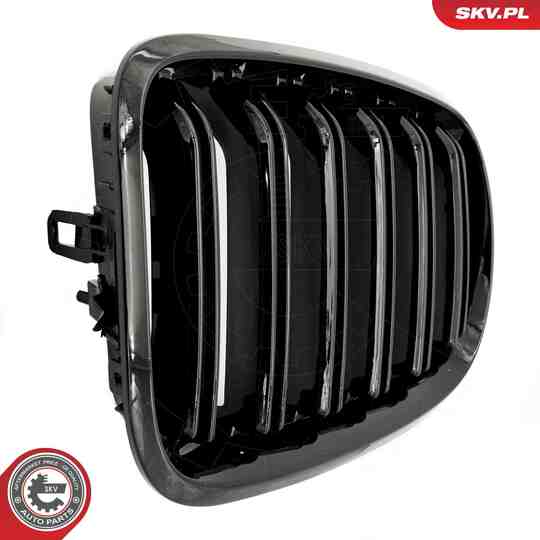 66SKV287 - Radiator Grille 